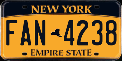 NY license plate FAN4238