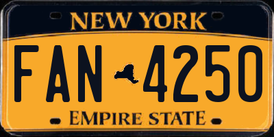 NY license plate FAN4250