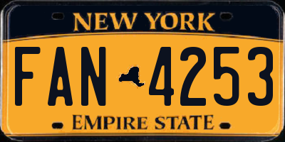 NY license plate FAN4253