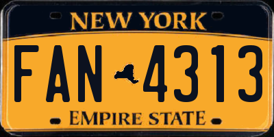 NY license plate FAN4313