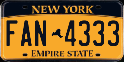 NY license plate FAN4333