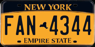 NY license plate FAN4344