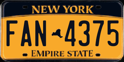 NY license plate FAN4375