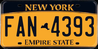 NY license plate FAN4393