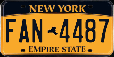 NY license plate FAN4487