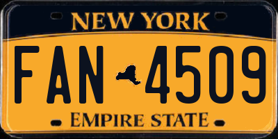 NY license plate FAN4509