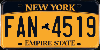 NY license plate FAN4519