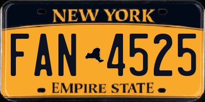 NY license plate FAN4525