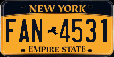 NY license plate FAN4531