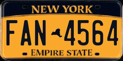 NY license plate FAN4564