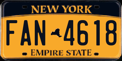 NY license plate FAN4618