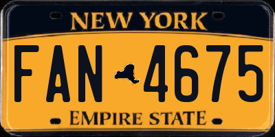 NY license plate FAN4675