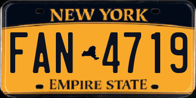 NY license plate FAN4719