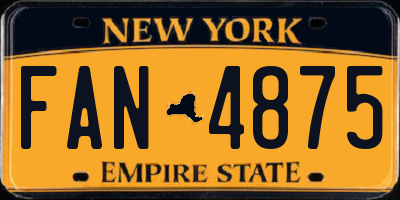 NY license plate FAN4875