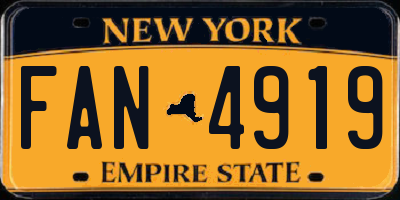 NY license plate FAN4919