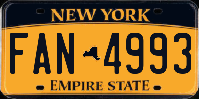 NY license plate FAN4993