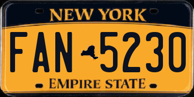 NY license plate FAN5230