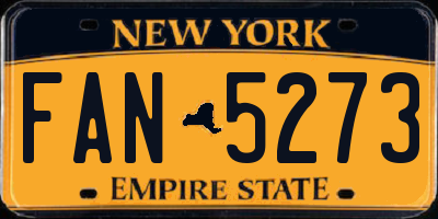 NY license plate FAN5273
