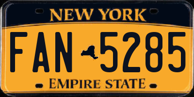 NY license plate FAN5285