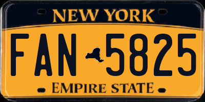 NY license plate FAN5825