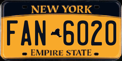NY license plate FAN6020