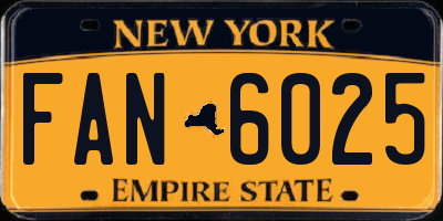 NY license plate FAN6025