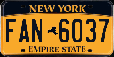 NY license plate FAN6037