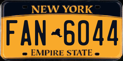 NY license plate FAN6044