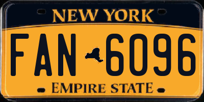 NY license plate FAN6096