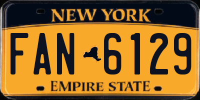 NY license plate FAN6129