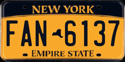 NY license plate FAN6137