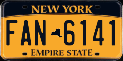 NY license plate FAN6141