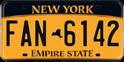 NY license plate FAN6142