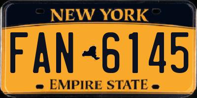 NY license plate FAN6145