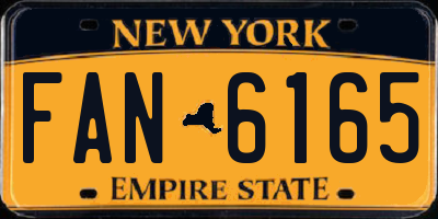 NY license plate FAN6165