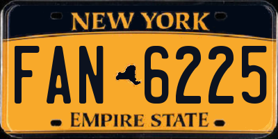 NY license plate FAN6225