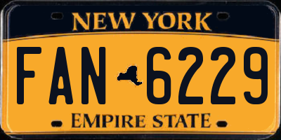 NY license plate FAN6229