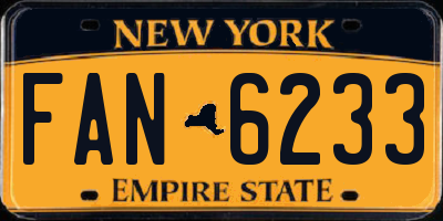 NY license plate FAN6233