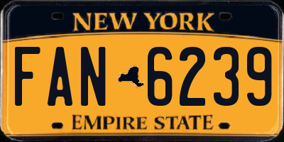NY license plate FAN6239