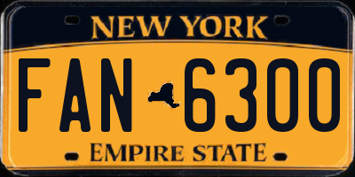 NY license plate FAN6300