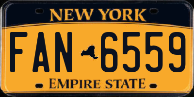 NY license plate FAN6559