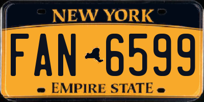 NY license plate FAN6599