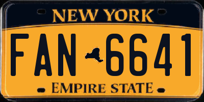 NY license plate FAN6641