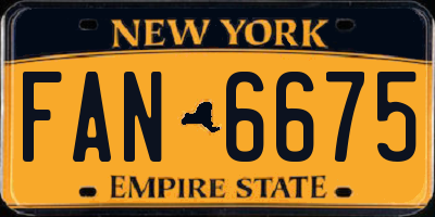 NY license plate FAN6675