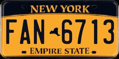 NY license plate FAN6713
