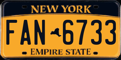 NY license plate FAN6733
