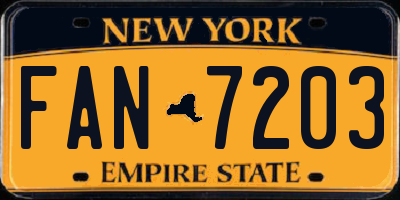 NY license plate FAN7203