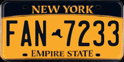 NY license plate FAN7233