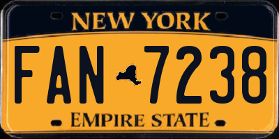 NY license plate FAN7238