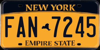 NY license plate FAN7245